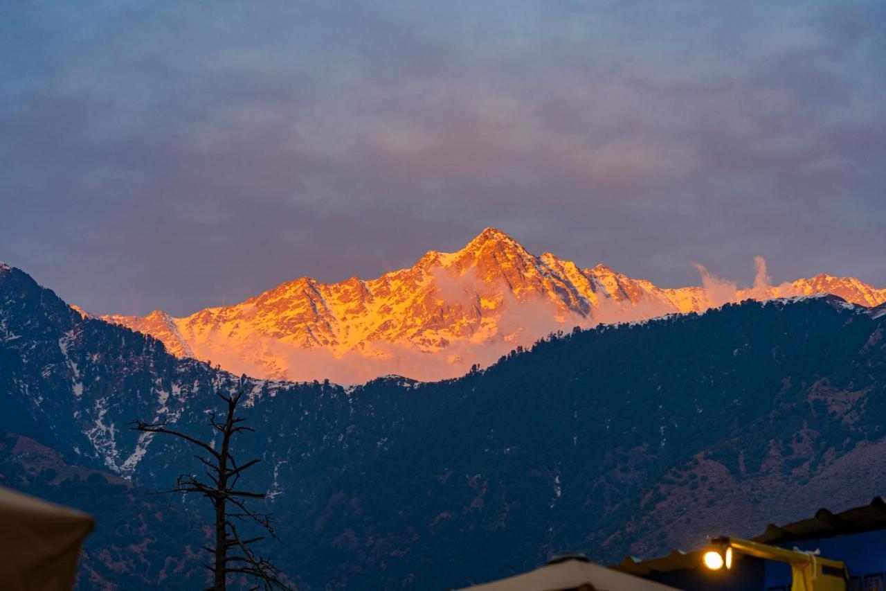 The Hosteller Mcleodganj, Mall Road Маклеод-Гандж Екстер'єр фото